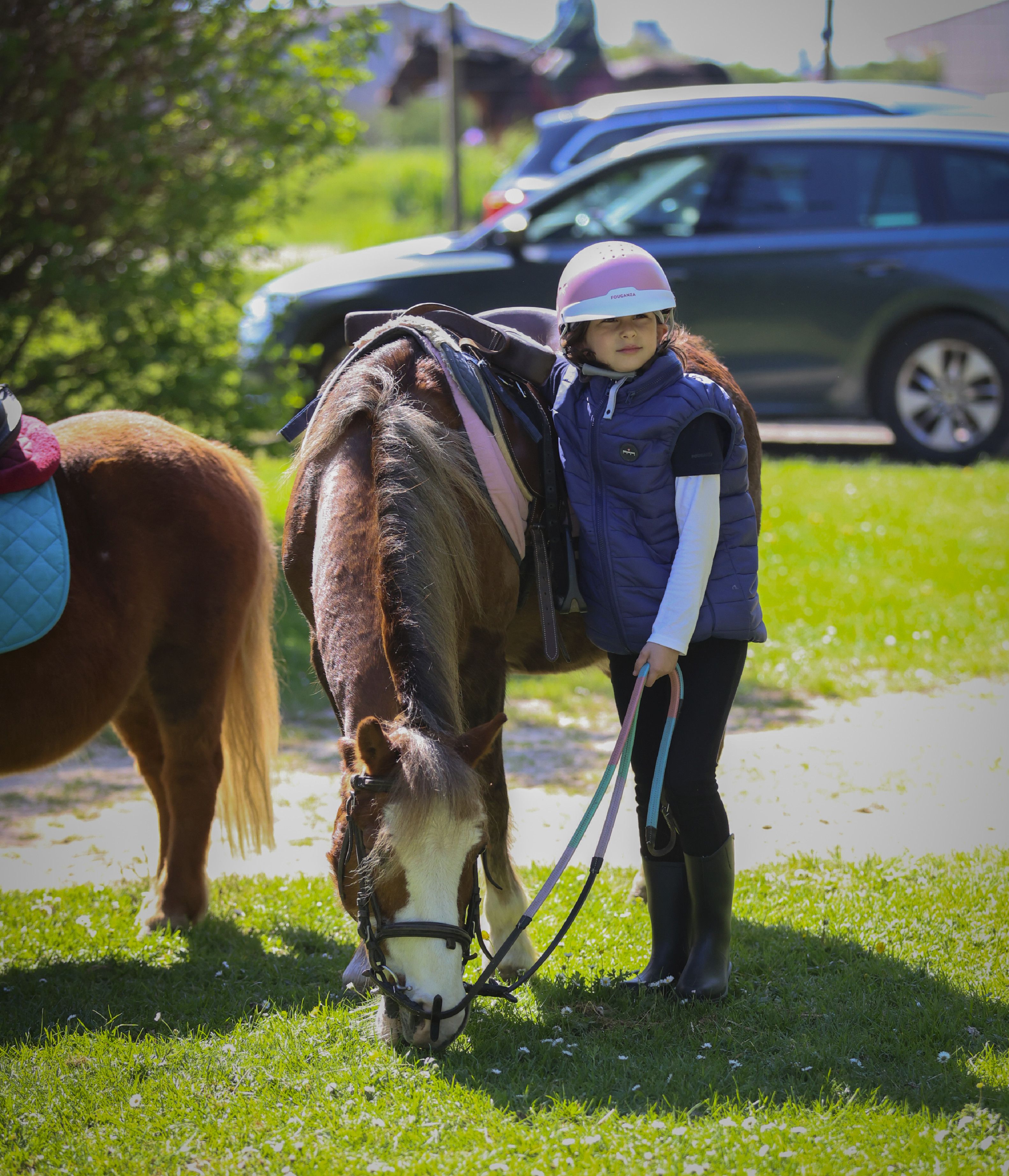 Poney à Menois