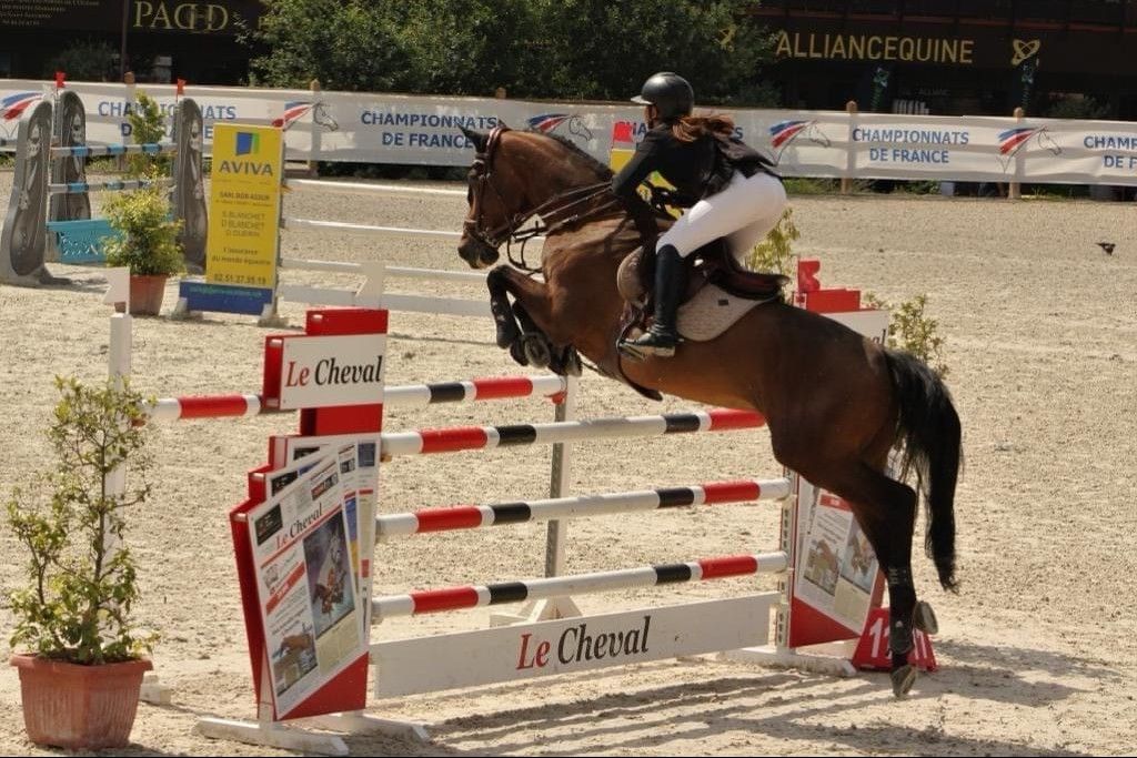 CSO Amateur en concours